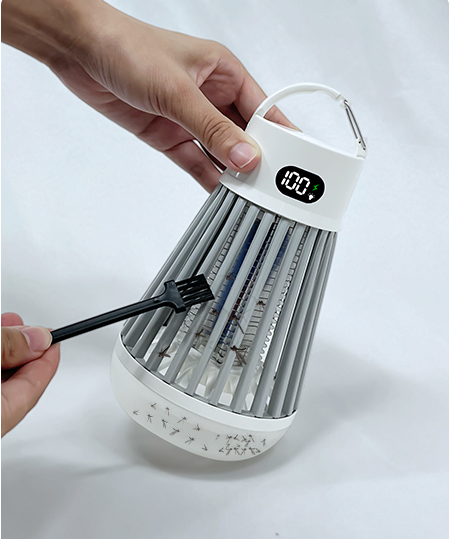 Brush Cleaning